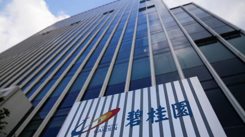 碧桂园12月销售额同比大幅下滑而环比反弹
