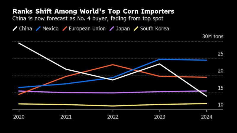 中国今年的玉米进口量降至全球第四