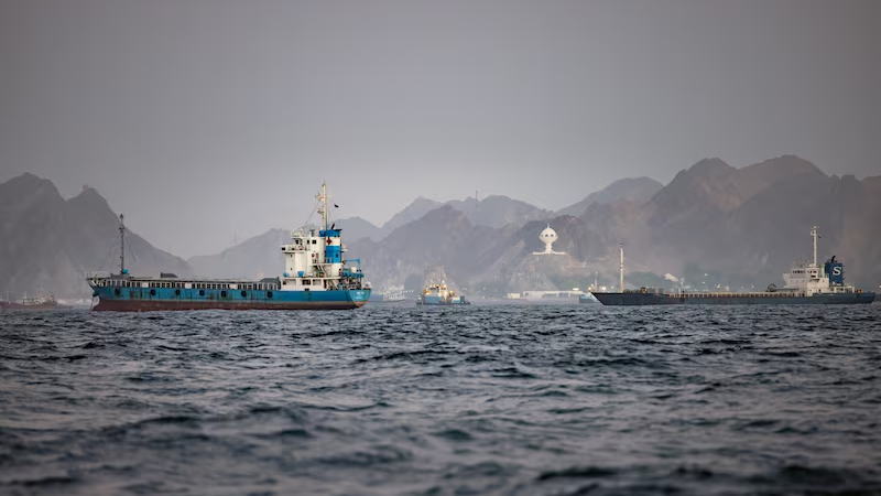 伊朗和阿曼将协调霍尔木兹海峡的撤离行动，据国际海事组织称